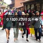 0.1加0.2为什么不等于0.3