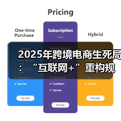2025年跨境电商生死局：“互联网+”重构规则，全域营销杀出血路（图4）
