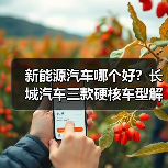 新能源汽车哪个好？长城汽车三款硬核车型解析，全场景技术+性价比重塑市场标杆（图4）