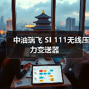 中油瑞飞 SI 111无线压力变送器（图3）