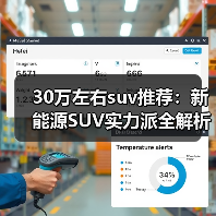 30万左右suv推荐：新能源SUV实力派全解析（图2）