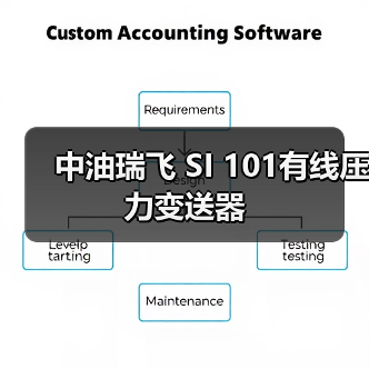 中油瑞飞 SI 101有线压力变送器（图3）