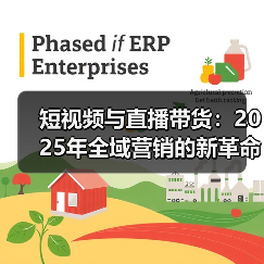 短视频与直播带货：2025年全域营销的新革命（图4）
