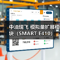 中油瑞飞 模拟量扩展模块（SMART E410）