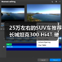 25万左右的SUV车推荐 长城坦克300 Hi4T 硬派也能省油（图1）