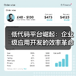 低代码平台崛起：企业级应用开发的效率革命（图2）