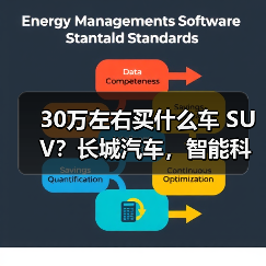 30万左右买什么车 SUV?长城汽车,智能科技引领未来(图2) 30万左右买什么车 SUV?长城汽车,智能科技引领未来(图2)