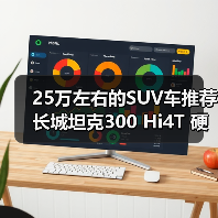 25万左右的SUV车推荐 长城坦克300 Hi4T 硬派也能省油（图3）