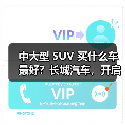 中大型 SUV 买什么车最好?长城汽车,开启豪华智能出行(图3) 中大型 SUV 买什么车最好?长城汽车,开启豪华智能出行(图3)