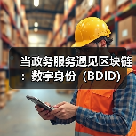 当政务服务遇见区块链:数字身份(BDID)如何重塑信任与效率?(图4) 当政务服务遇见区块链:数字身份(BDID)如何重塑信任与效率?(图4)