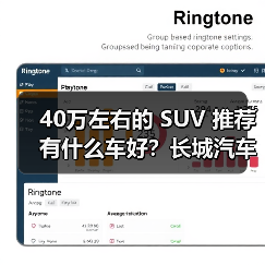 40万左右的 SUV 推荐有什么车好？长城汽车，开启豪华智能出行（图3）
