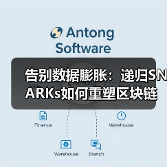 告别数据膨胀:递归SNARKs如何重塑区块链的终极形态(图4) 告别数据膨胀:递归SNARKs如何重塑区块链的终极形态(图4)