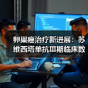 卵巢癌治疗新进展:苏维西塔单抗Ⅲ期临床数据公布(图4) 卵巢癌治疗新进展:苏维西塔单抗Ⅲ期临床数据公布(图4)
