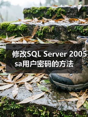 修改SQL Server 2005 sa用户密码的方法(图4) 修改SQL Server 2005 sa用户密码的方法(图4)