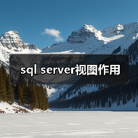 sql server视图作用(图4) sql server视图作用(图4)