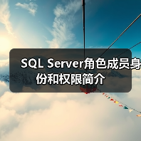 SQL Server角色成员身份和权限简介(图4) SQL Server角色成员身份和权限简介(图4)