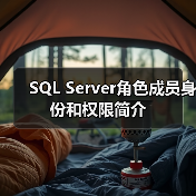 SQL Server角色成员身份和权限简介(图1) SQL Server角色成员身份和权限简介(图1)