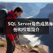 SQL Server角色成员身份和权限简介(图3) SQL Server角色成员身份和权限简介(图3)