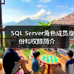 SQL Server角色成员身份和权限简介(图2) SQL Server角色成员身份和权限简介(图2)