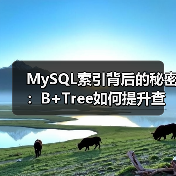 MySQL索引背后的秘密:B+Tree如何提升查询效率?(图3) MySQL索引背后的秘密:B+Tree如何提升查询效率?(图3)