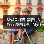 MySQL索引背后的B+Tree结构解析:MyISAM与InnoDB索引实现对比(图2) MySQL索引背后的B+Tree结构解析:MyISAM与InnoDB索引实现对比(图2)