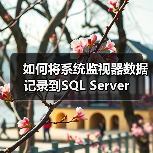 如何将系统监视器数据记录到SQL Server（图4）