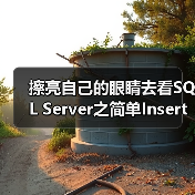 擦亮自己的眼睛去看SQL Server之简单Insert(图3) 擦亮自己的眼睛去看SQL Server之简单Insert(图3)