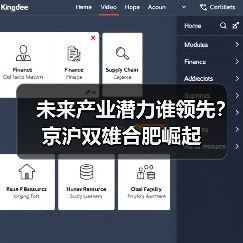 未来产业潜力谁领先?京沪双雄合肥崛起(图4) 未来产业潜力谁领先?京沪双雄合肥崛起(图4)