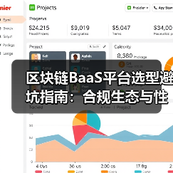 区块链BaaS平台选型避坑指南：合规生态与性能三要素（图4）