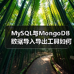 MySQL与MongoDB数据导入导出工具如何高效迁移(图3) MySQL与MongoDB数据导入导出工具如何高效迁移(图3)