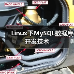 Linux下MySQL数据库开发技术